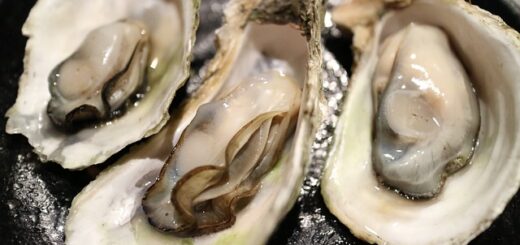 Are Oysters Good for You