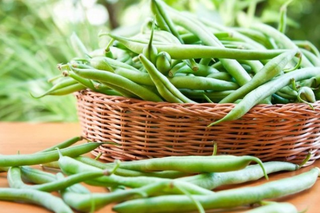 Benefits of Green Beans