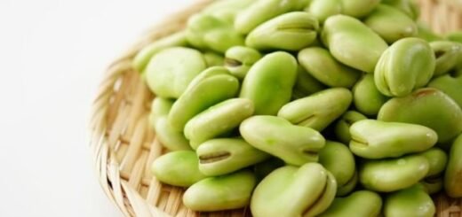Benefits of Broad Beans
