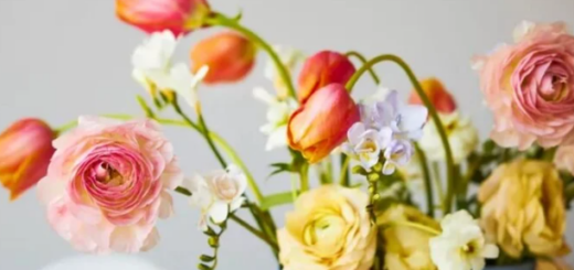 3 quick steps to revive wilted flowers