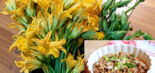 Ingredients to cook 3 delicious dishes from pumpkin flowers