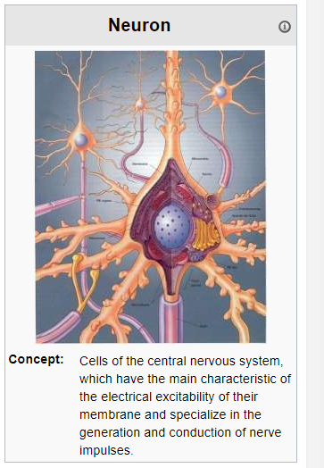 Neuron