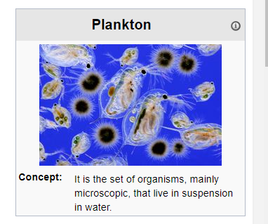 Plankton