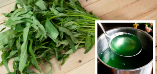 Why is boiled spinach water dark green? 