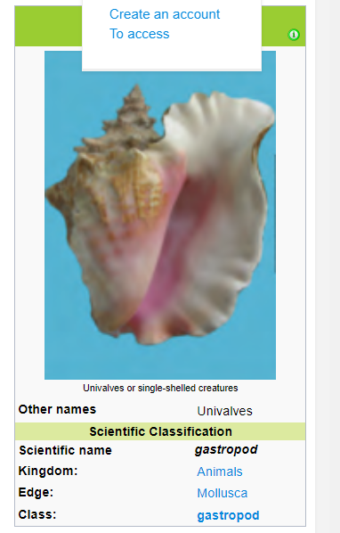 gastropod